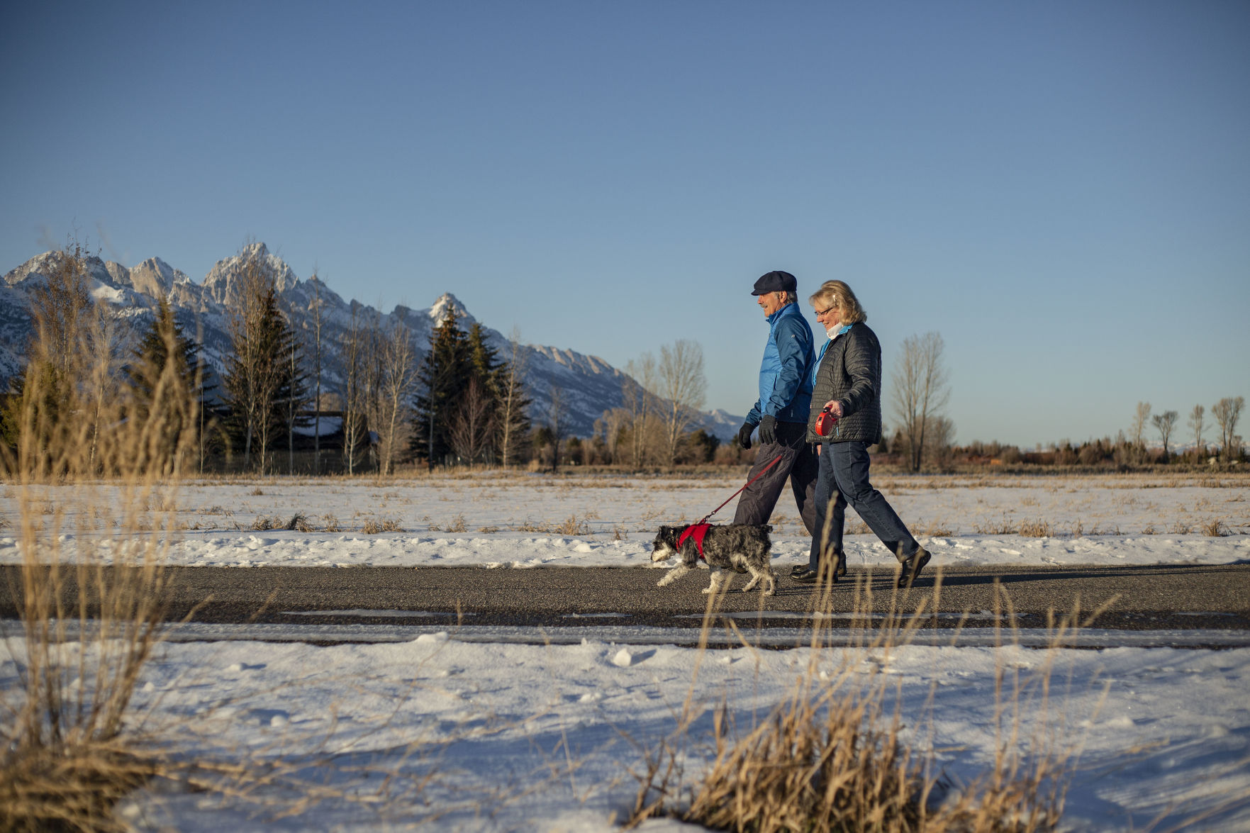 Animal adoptions during COVID-19
